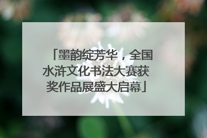 墨韵绽芳华，全国水浒文化书法大赛获奖作品展盛大启幕