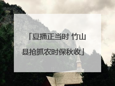 夏播正当时 竹山县抢抓农时保秋收
