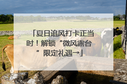夏日追风打卡正当时！解锁“微风露台”限定礼遇→