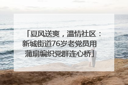 夏风送爽，温情社区：新城街道76岁老党员用蒲扇编织党群连心桥