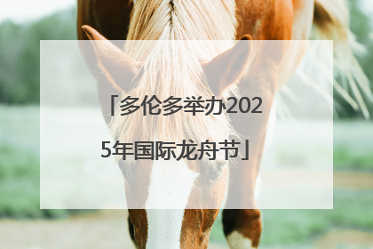 多伦多举办2025年国际龙舟节