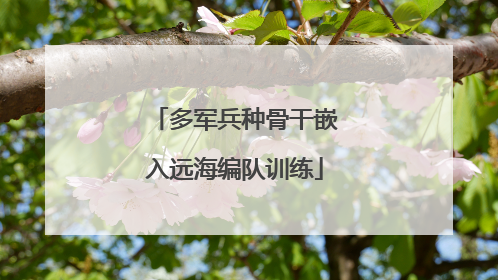多军兵种骨干嵌入远海编队训练