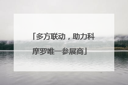 多方联动，助力科摩罗唯一参展商