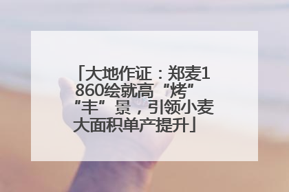 大地作证：郑麦1860绘就高“烤”“丰”景，引领小麦大面积单产提升