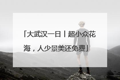 大武汉一日丨超小众花海，人少景美还免费