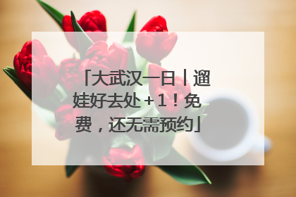 大武汉一日︱遛娃好去处＋1！免费，还无需预约