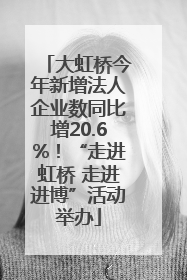 大虹桥今年新增法人企业数同比增20.6%！“走进虹桥 走进进博”活动举办
