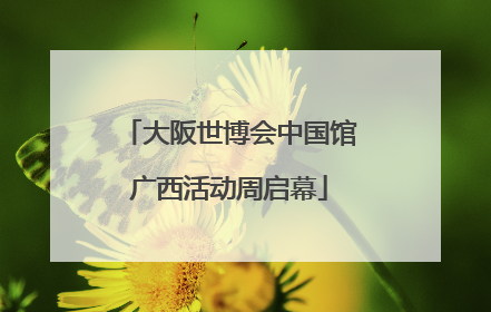 大阪世博会中国馆广西活动周启幕