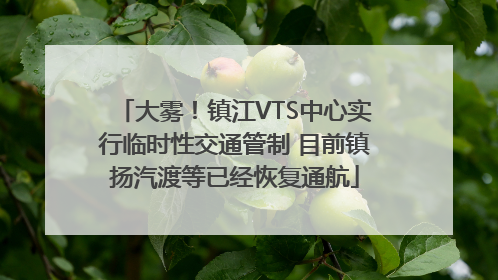 大雾！镇江VTS中心实行临时性交通管制 目前镇扬汽渡等已经恢复通航
