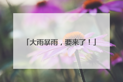 大雨暴雨，要来了！