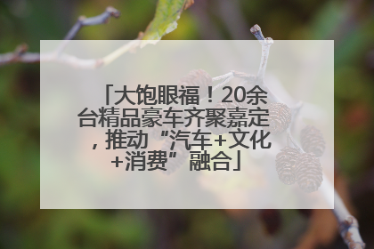 大饱眼福！20余台精品豪车齐聚嘉定，推动“汽车+文化+消费”融合