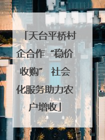天台平桥村企合作“稳价收购” 社会化服务助力农户增收