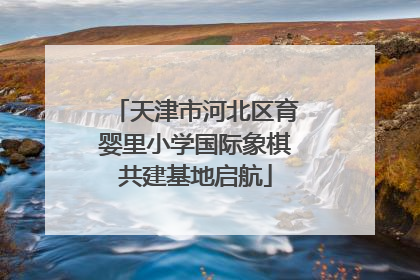 天津市河北区育婴里小学国际象棋共建基地启航