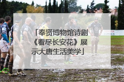 奉贤博物馆诗剧《看尽长安花》展示大唐生活美学