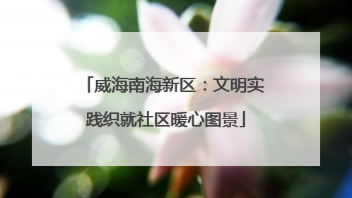 威海南海新区：文明实践织就社区暖心图景