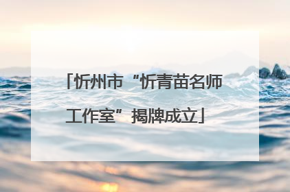 忻州市“忻青苗名师工作室”揭牌成立
