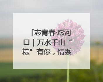 志青春·愿河口｜万水千山“粽”有你，情系外卖员~