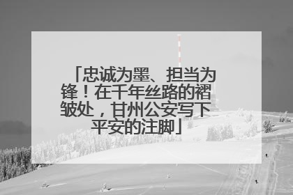 忠诚为墨、担当为锋！在千年丝路的褶皱处，甘州公安写下平安的注脚