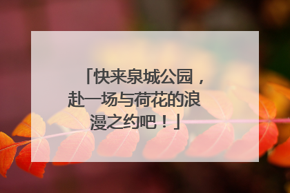 快来泉城公园，赴一场与荷花的浪漫之约吧！