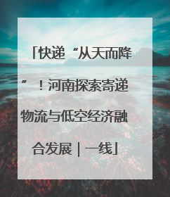 快递“从天而降”！河南探索寄递物流与低空经济融合发展｜一线