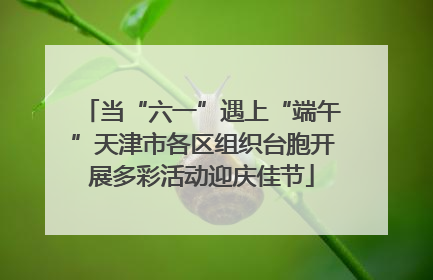 当“六一”遇上“端午”天津市各区组织台胞开展多彩活动迎庆佳节