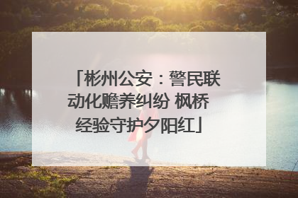 彬州公安：警民联动化赡养纠纷 枫桥经验守护夕阳红