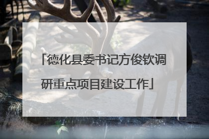 德化县委书记方俊钦调研重点项目建设工作