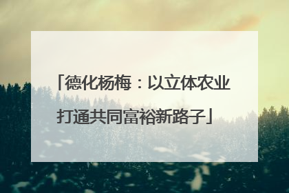 德化杨梅：以立体农业打通共同富裕新路子
