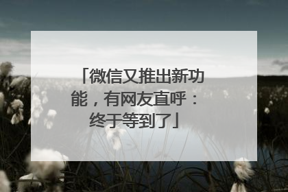 微信又推出新功能，有网友直呼：终于等到了