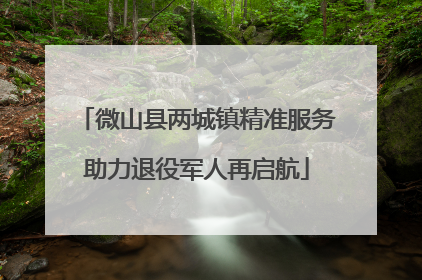微山县两城镇精准服务助力退役军人再启航