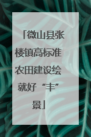 微山县张楼镇高标准农田建设绘就好“丰”景