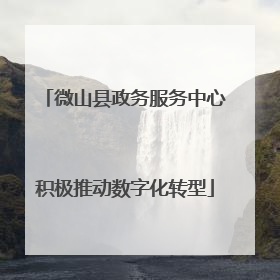 微山县政务服务中心积极推动数字化转型