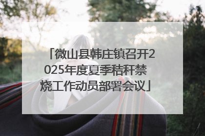 微山县韩庄镇召开2025年度夏季秸秆禁烧工作动员部署会议