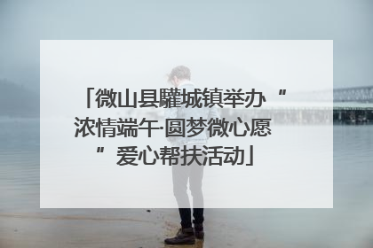 微山县驩城镇举办“浓情端午·圆梦微心愿”爱心帮扶活动