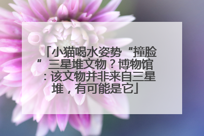 小猫喝水姿势“撞脸”三星堆文物？博物馆：该文物并非来自三星堆，有可能是它