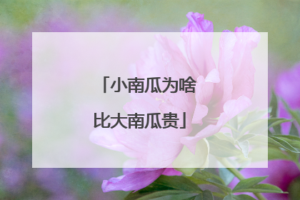 小南瓜为啥比大南瓜贵