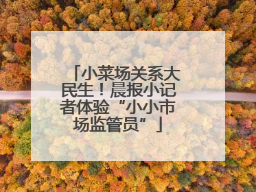 小菜场关系大民生！晨报小记者体验“小小市场监管员”