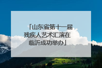山东省第十一届残疾人艺术汇演在临沂成功举办