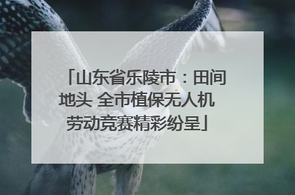 山东省乐陵市：田间地头 全市植保无人机劳动竞赛精彩纷呈