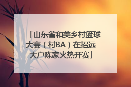 山东省和美乡村篮球大赛（村BA）在招远大户陈家火热开赛