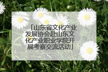 山东省文化产业发展协会赴山东文化产业职业学院开展考察交流活动