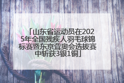 山东省运动员在2025年全国残疾人羽毛球锦标赛暨东京聋奥会选拔赛中斩获3银1铜