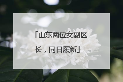 山东两位女副区长，同日履新