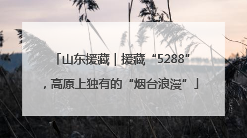 山东援藏｜援藏“5288”，高原上独有的“烟台浪漫”