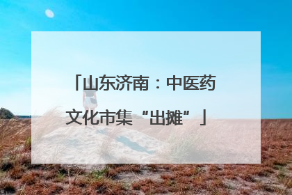 山东济南：中医药文化市集“出摊”