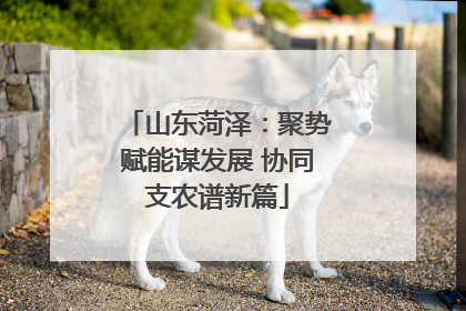 山东菏泽：聚势赋能谋发展 协同支农谱新篇