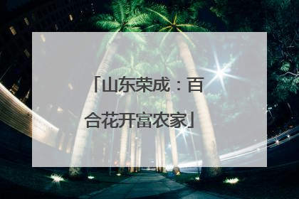 山东荣成：百合花开富农家