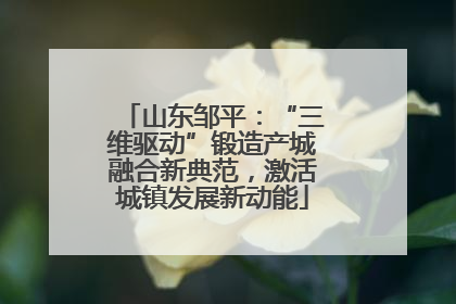 山东邹平：“三维驱动”锻造产城融合新典范，激活城镇发展新动能