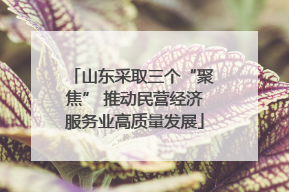 山东采取三个“聚焦” 推动民营经济服务业高质量发展