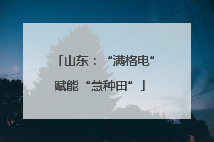 山东：“满格电”赋能“慧种田”